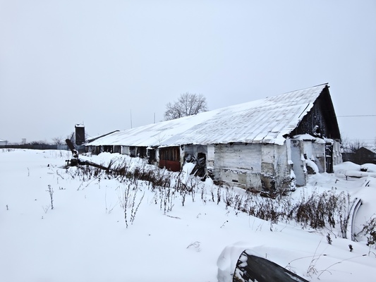 Купить  производство